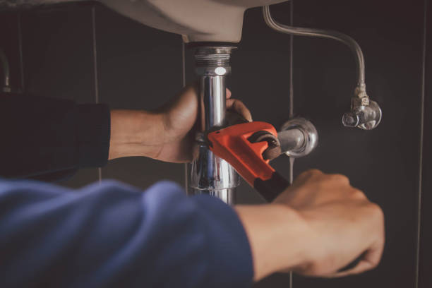 Best Plumbing Inspection Services  in Ravenna, NE